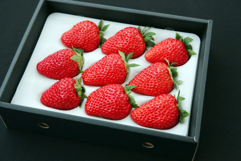 完熟いちごの直売
