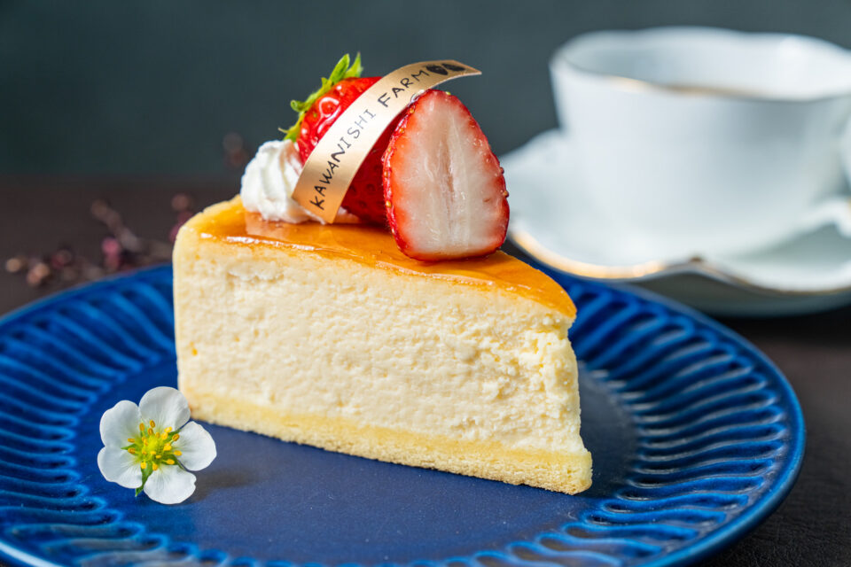 チーズケーキ