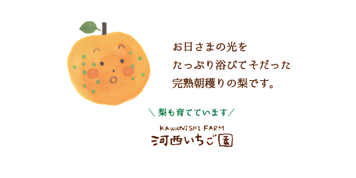 梨