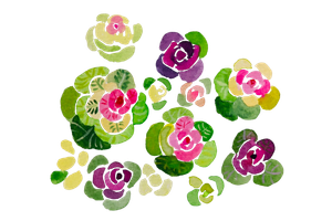 ビオラのイラスト